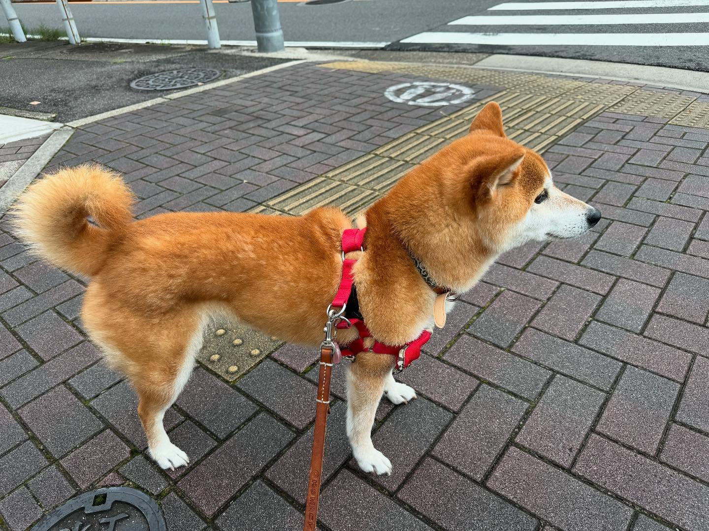 この依頼は、名東区在住のお客様。