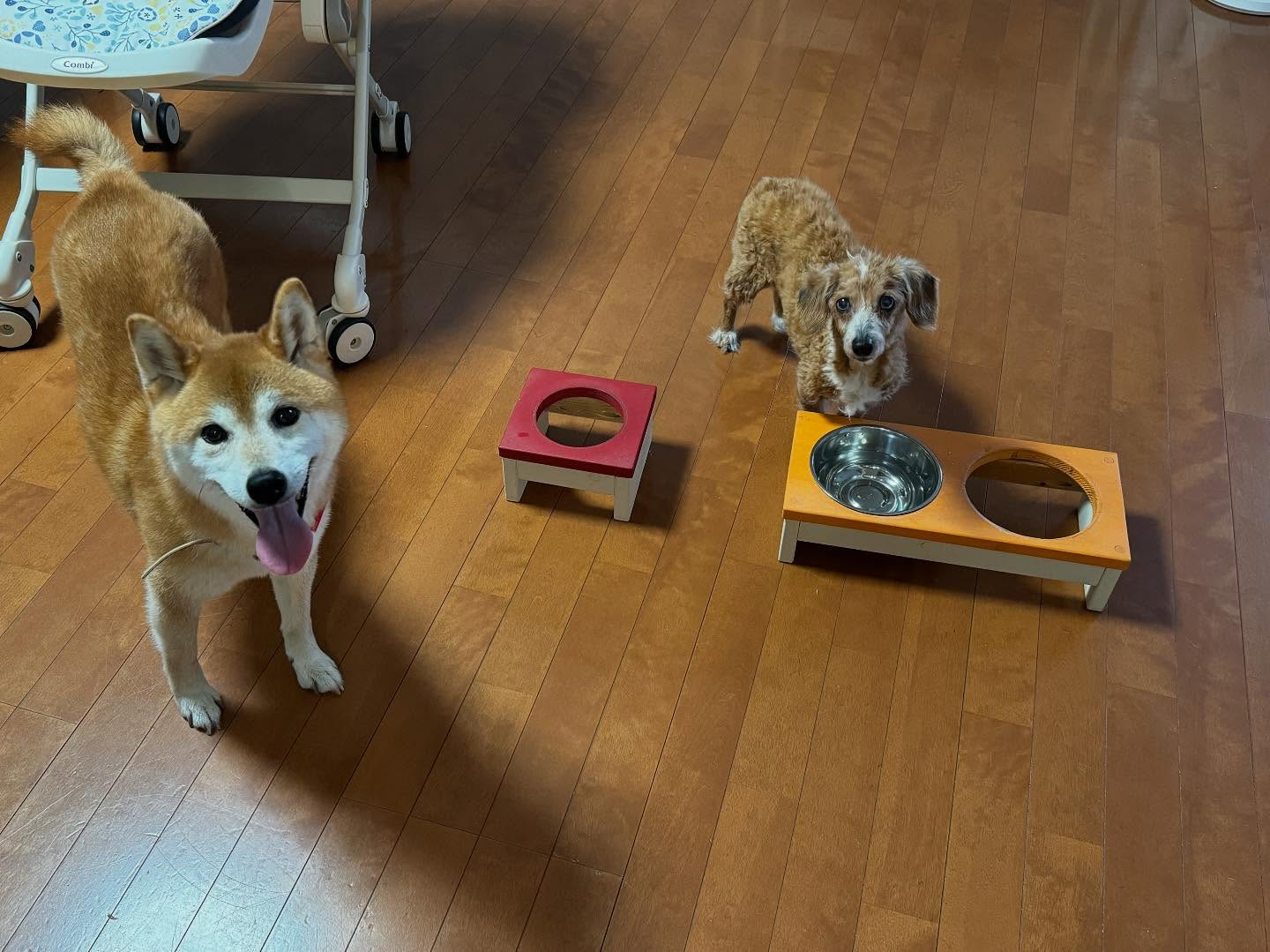 この依頼は、名東区在住のお客様。