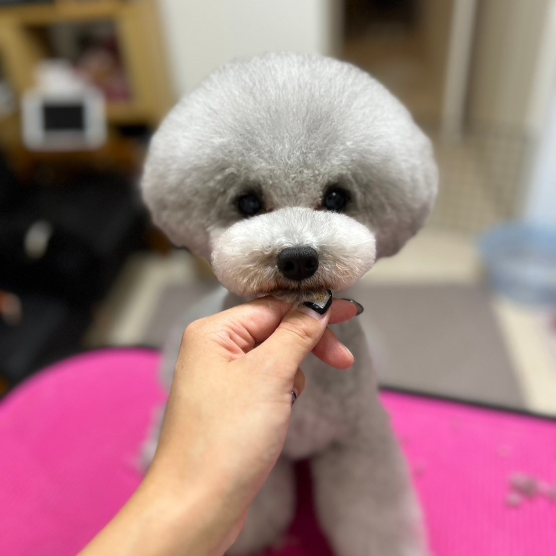 シッターさんのペット。