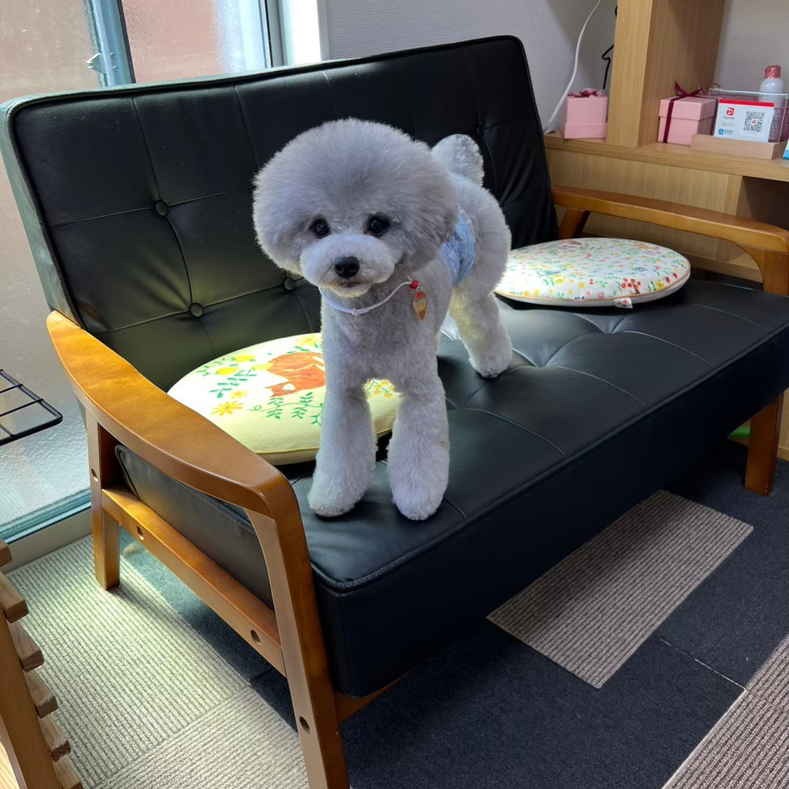 シッターさんのペット。