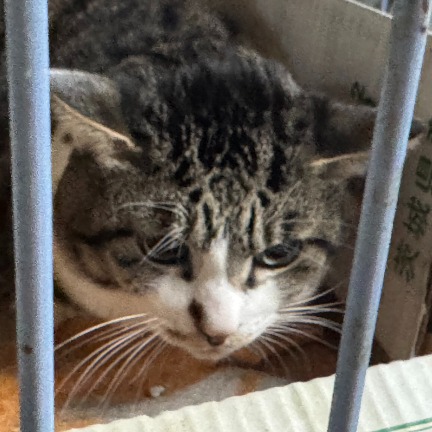 昨年12月に依頼されたお客様。