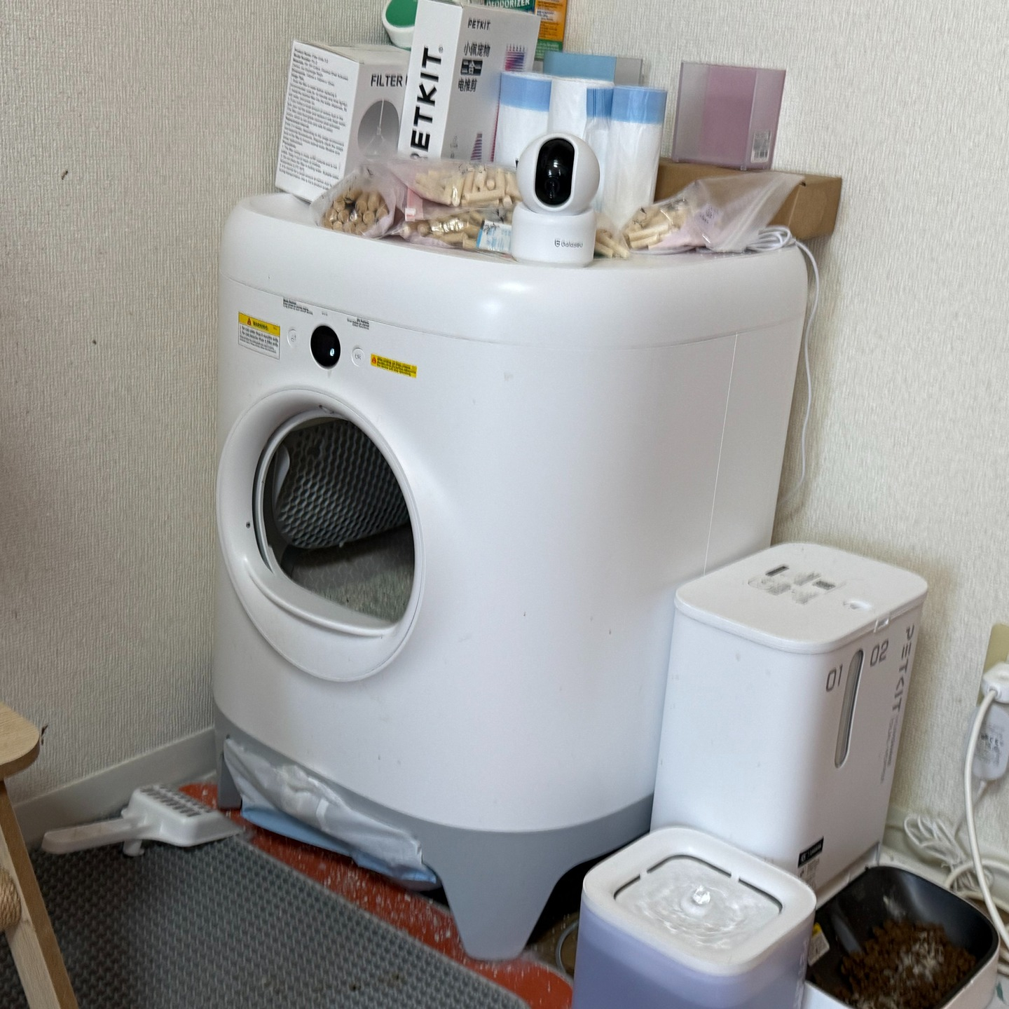 今年のGWにZ世代の方と思われる方からの依頼でお世話を1週間...