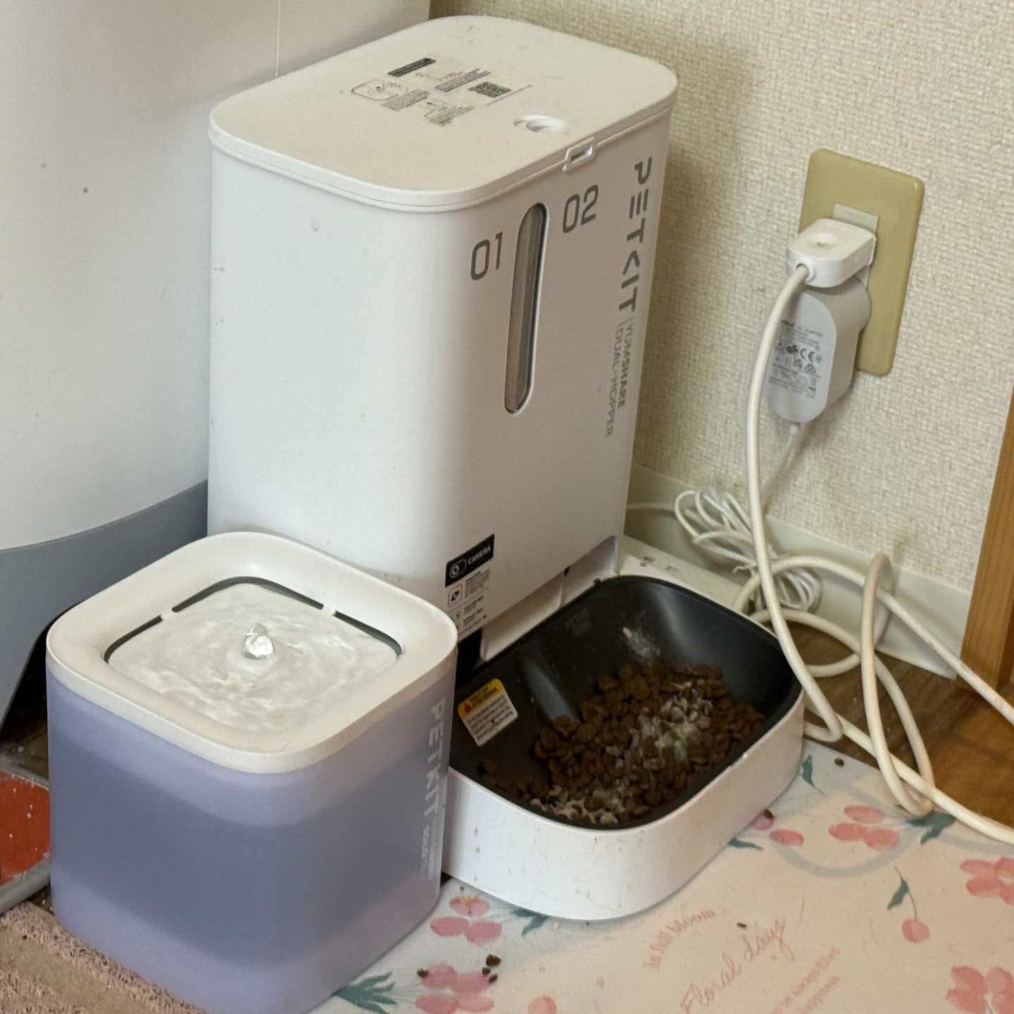 今年のGWにZ世代の方と思われる方からの依頼でお世話を1週間...