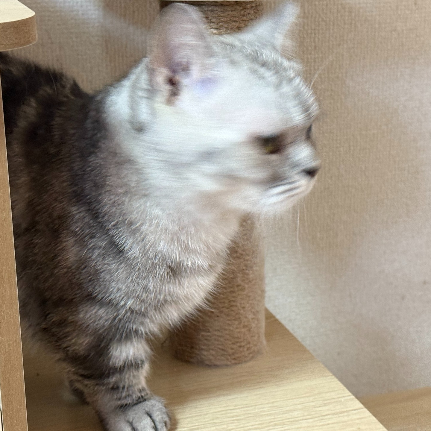 今年のGWにZ世代の方と思われる方からの依頼でお世話を1週間...