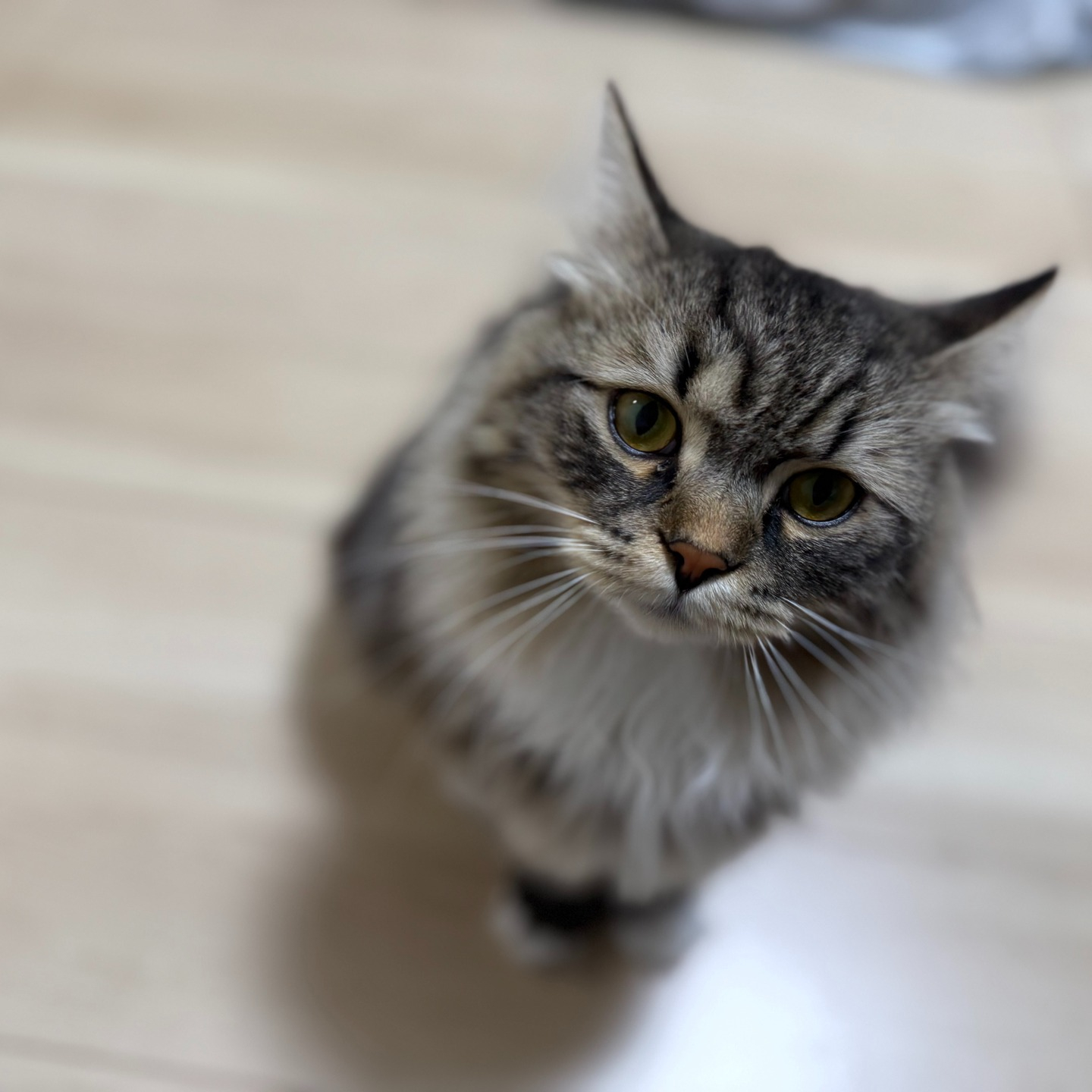 今回で2度目のお客様。