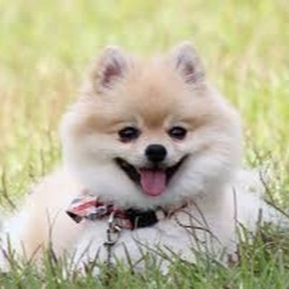 昨日、打合せに行ってきました。