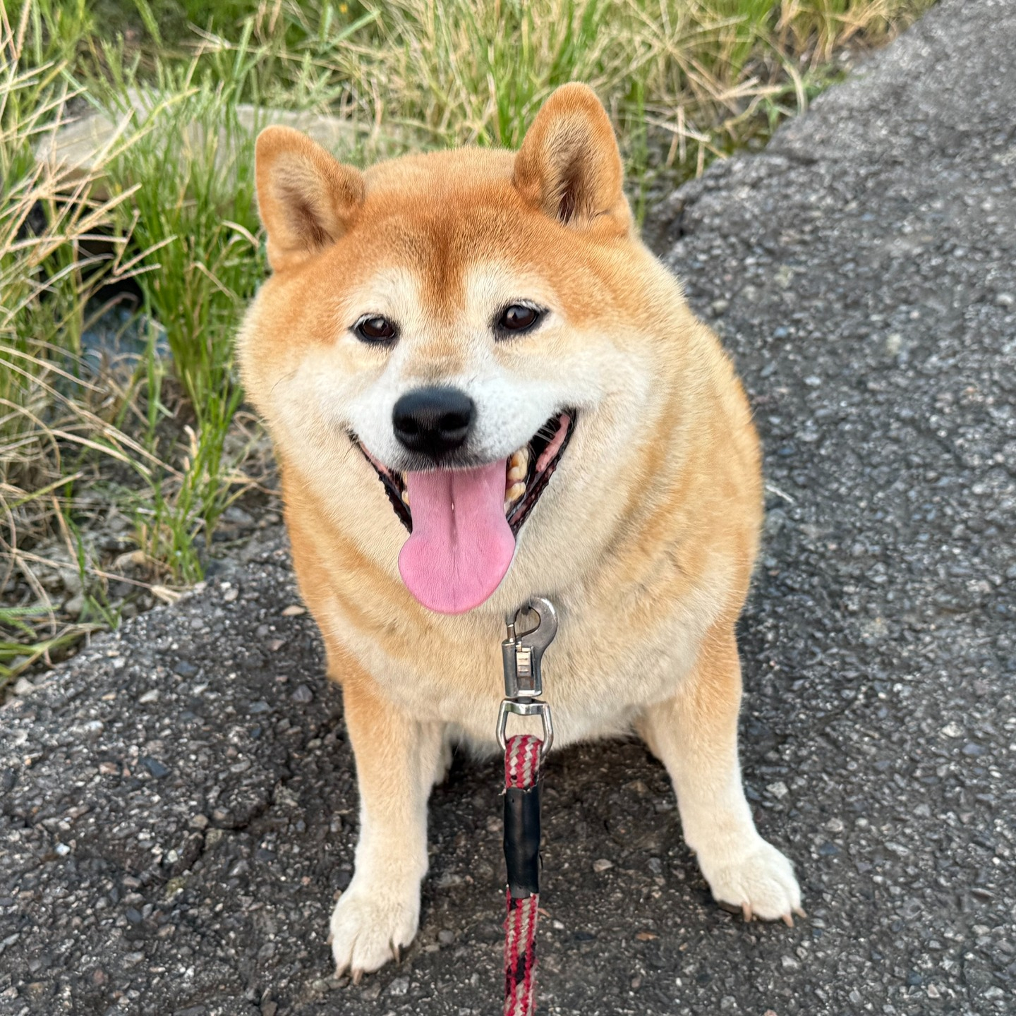 開業して最初のお客様。