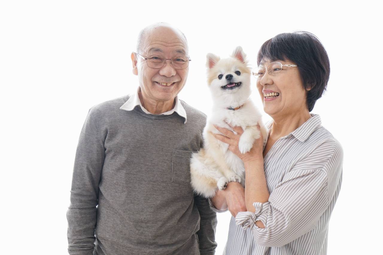 ペットシッターと金融サポート活用で愛知県名古屋市名古屋市中川区の動物福祉を支える方法