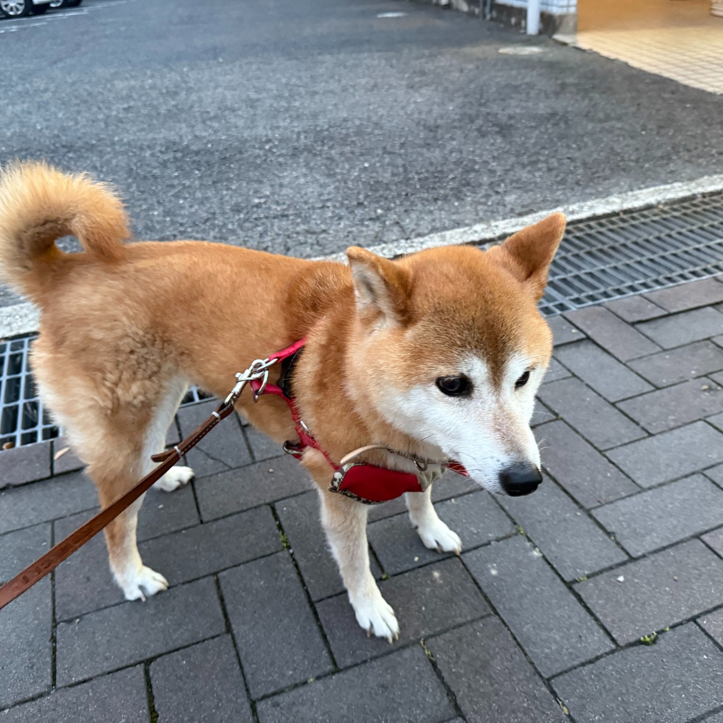 いつもお世話になっているお客様。