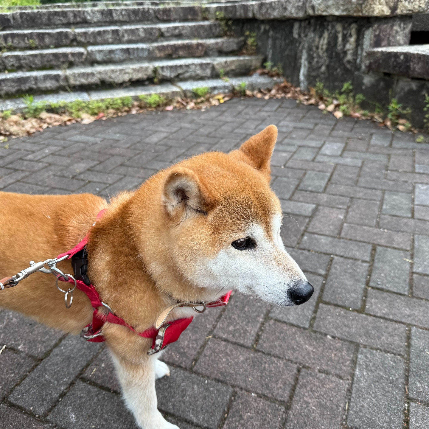 いつもお世話になっているお客様。