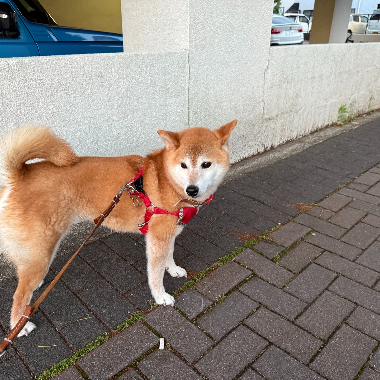 いつもお世話になっているお客様。