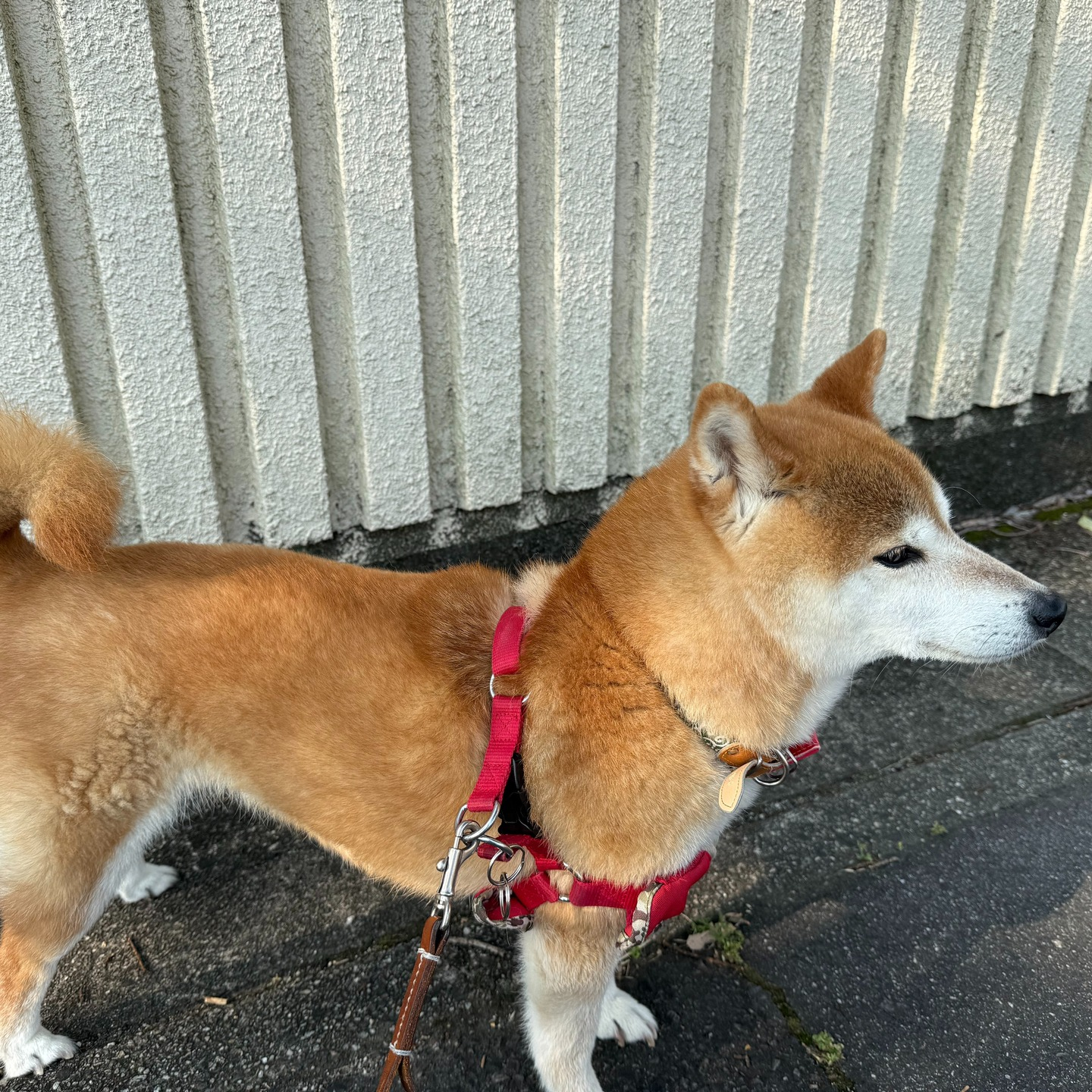 いつもお世話になっているお客様。