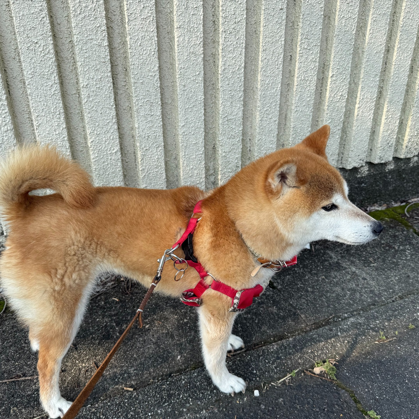 いつもお世話になっているお客様。