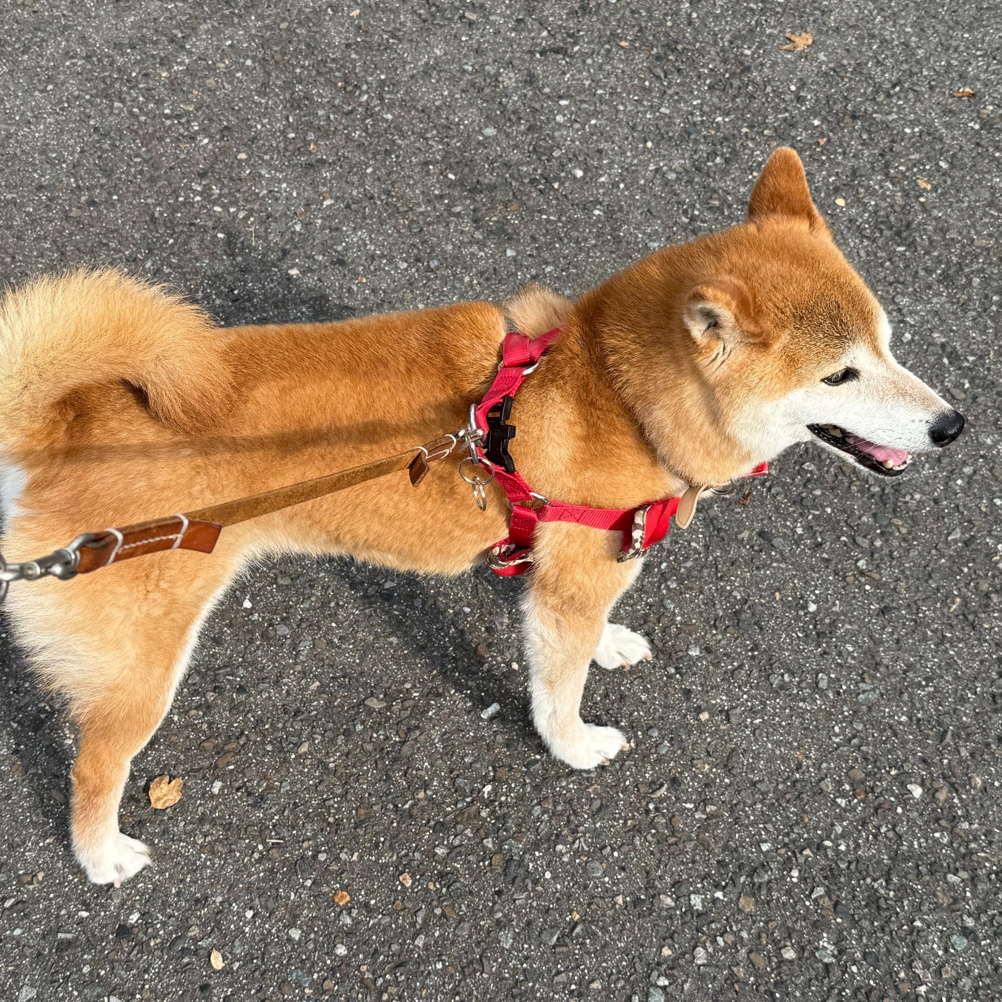 いつもお世話になっているお客様。