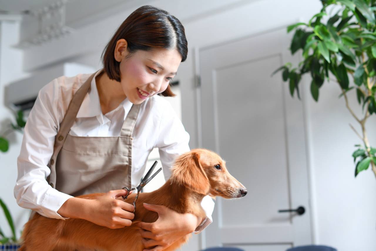 ペットのトリミング周期とストレス軽減