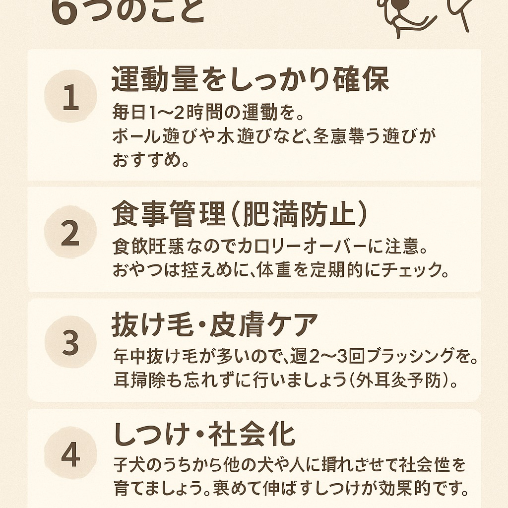 本日の夕方、お散歩代行の打ち合わせに行って来ます。