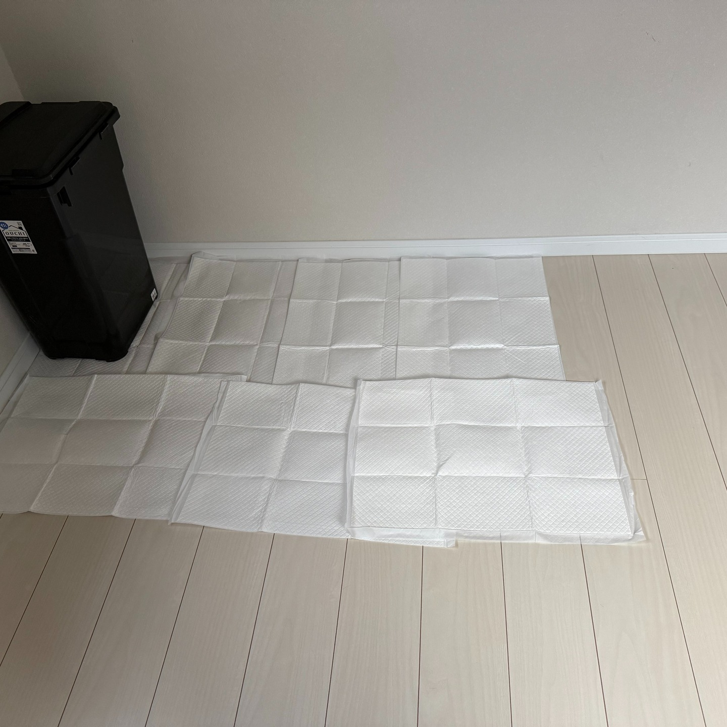 先週のお世話したワンちゃん。