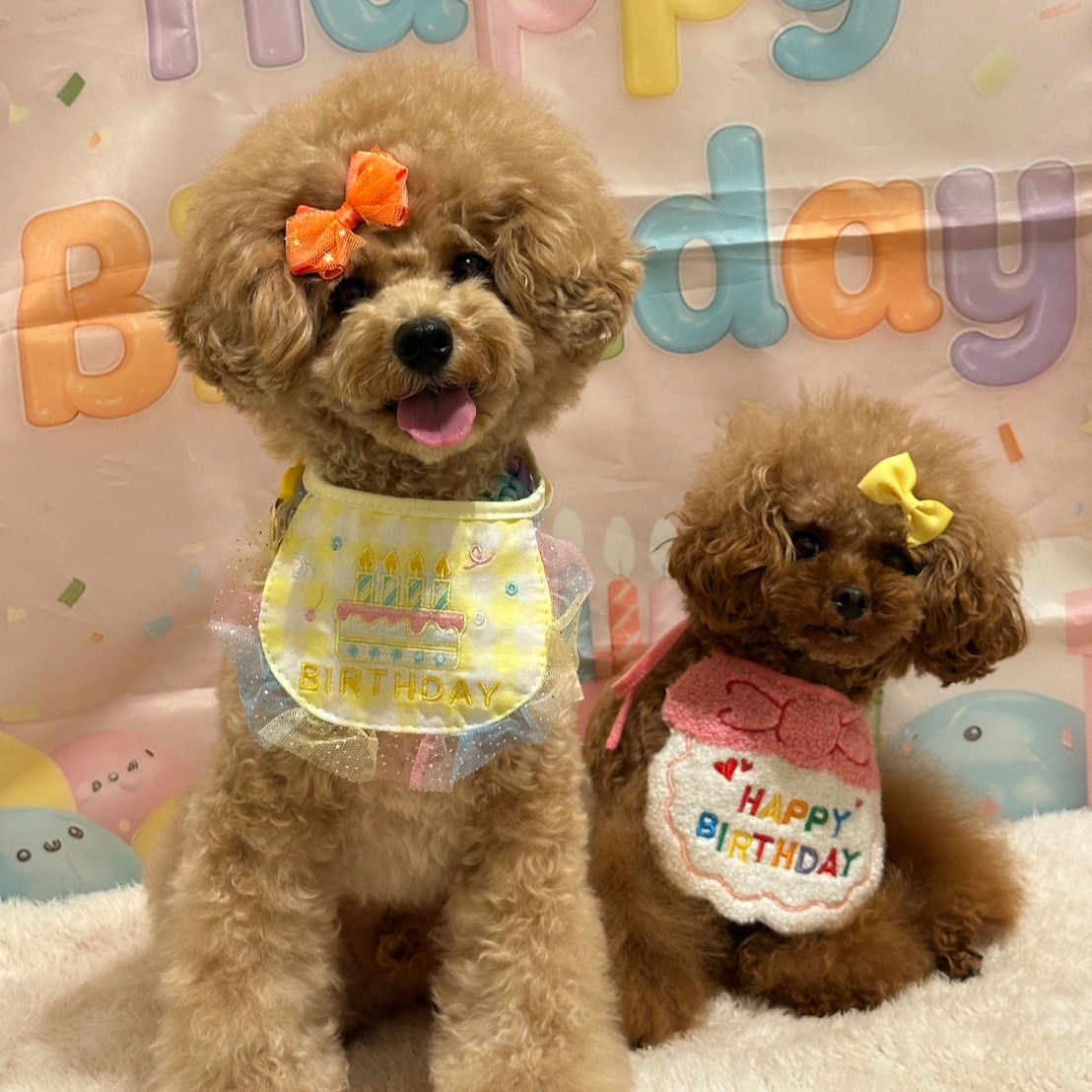 10月は笑（にこ）ちゃん、杏ちゃんの誕生日でした。