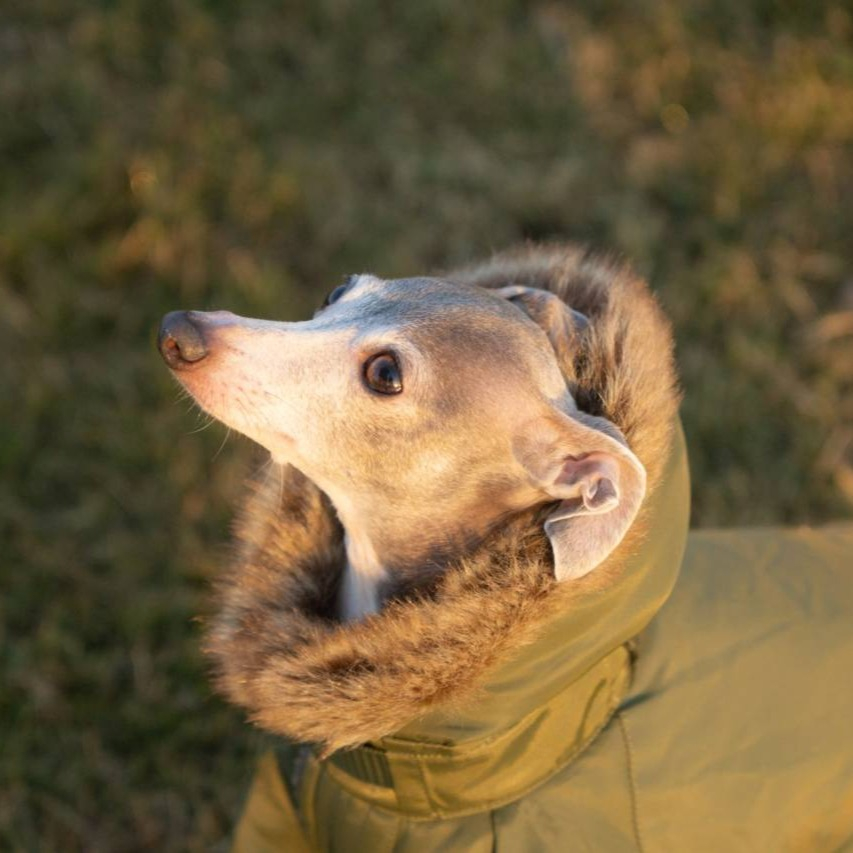 朝晩、めっきり寒くなって来ましたね🐾❄️。