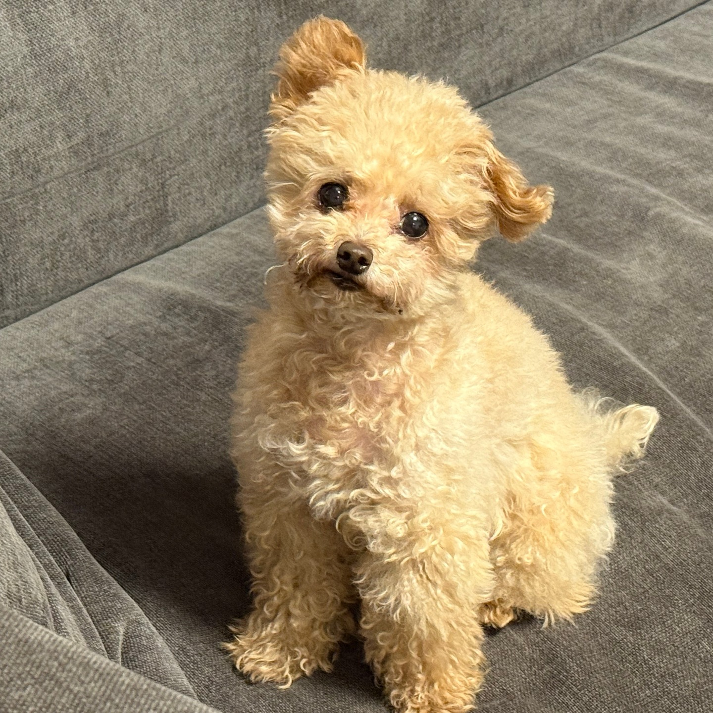 先週のお世話報告です✨