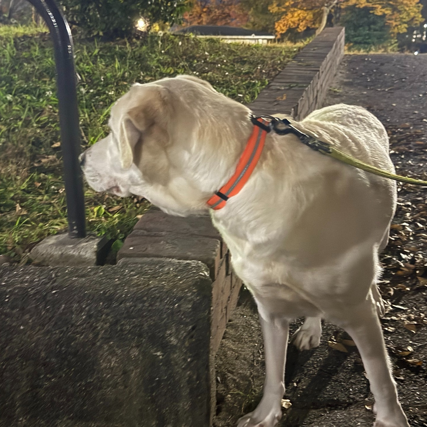 連休のお世話報告です☀️