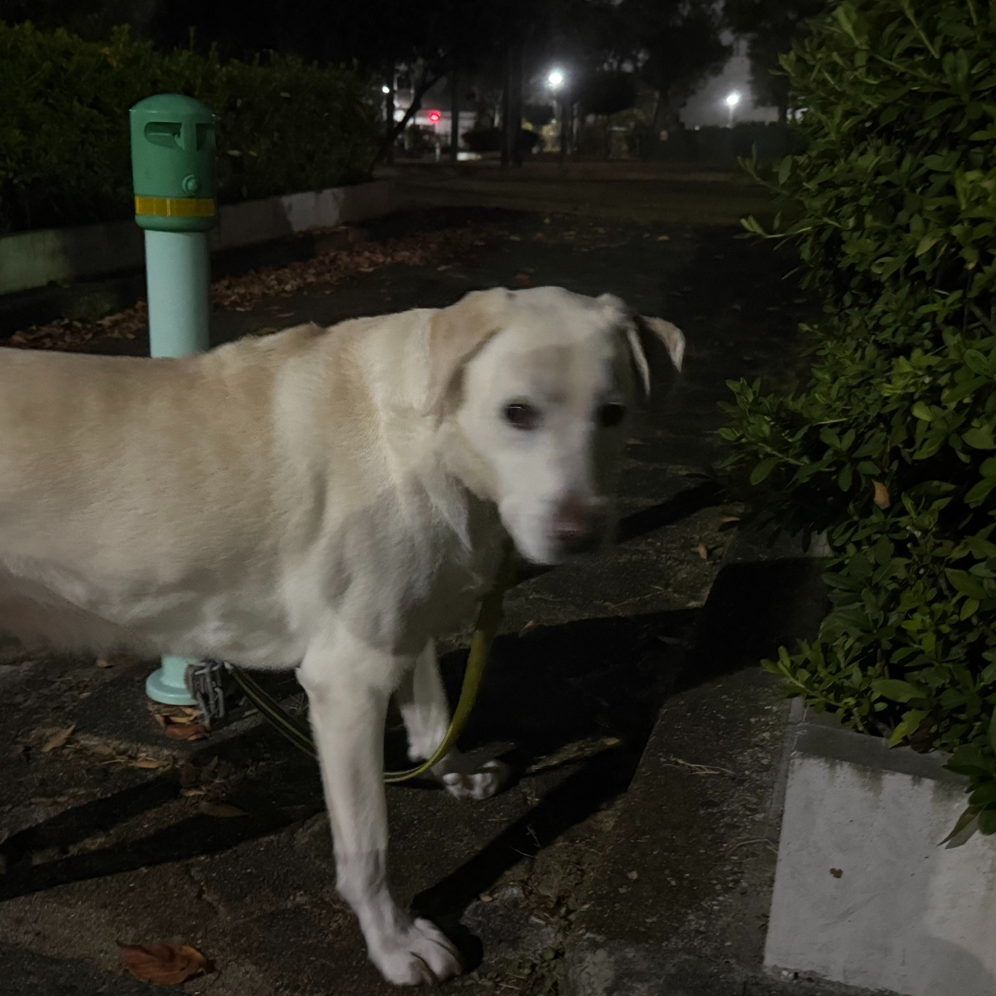 連休のお世話報告です☀️