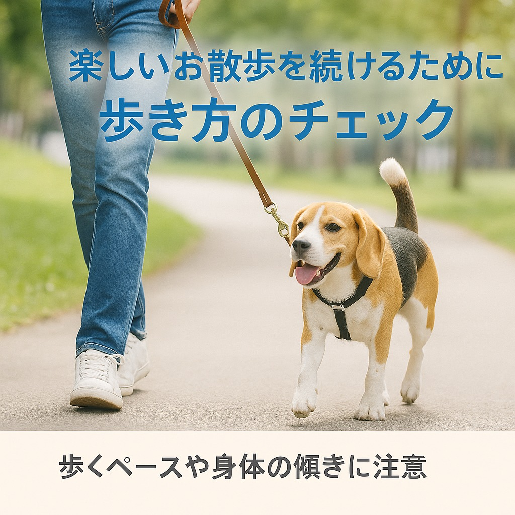 🐾【ペットシッターの豆知識】