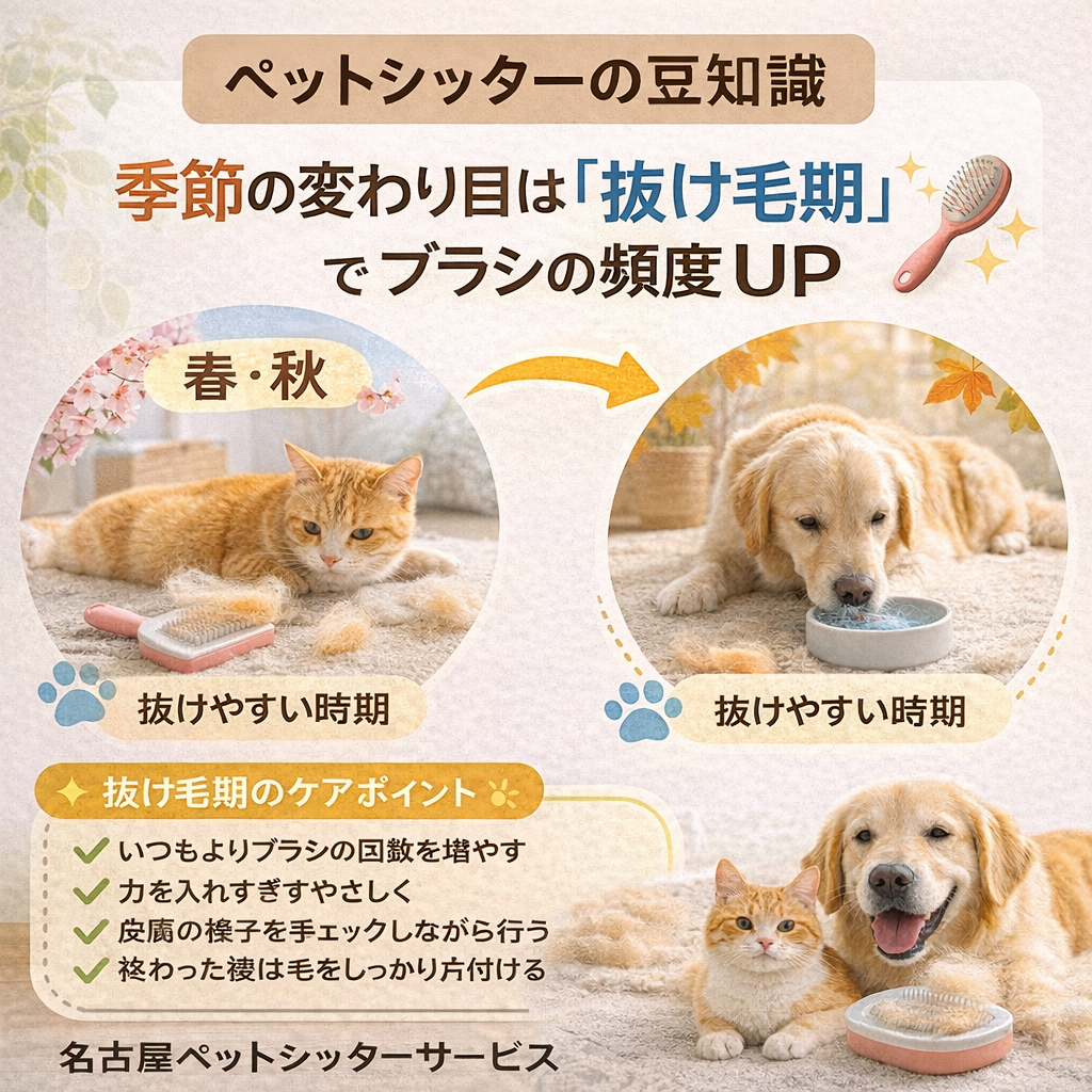 犬猫の抜け毛期に効果的なケア方法