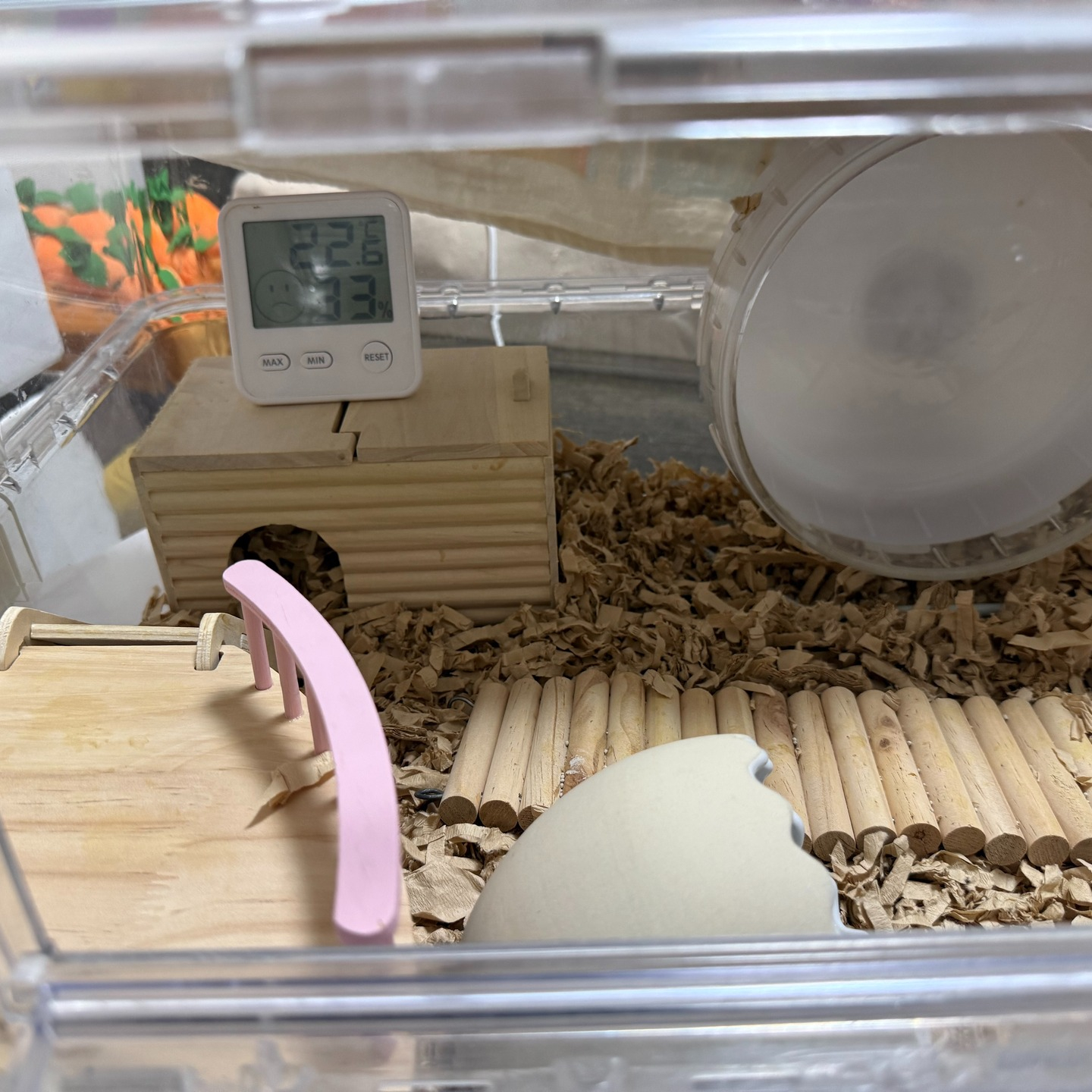 【✨新年のペットシッター体験①✨】