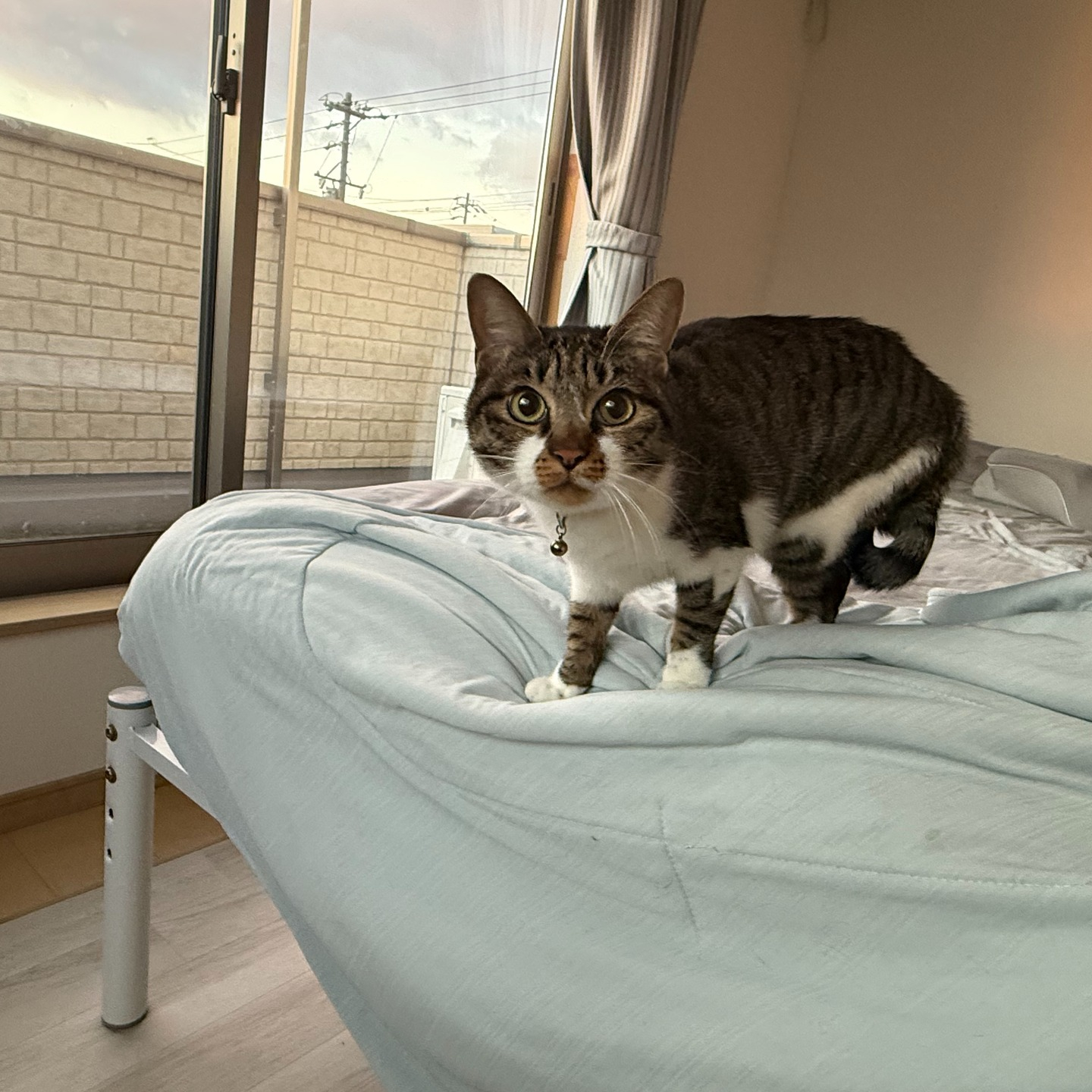 【年末年始のシッター報告🎍✨②】