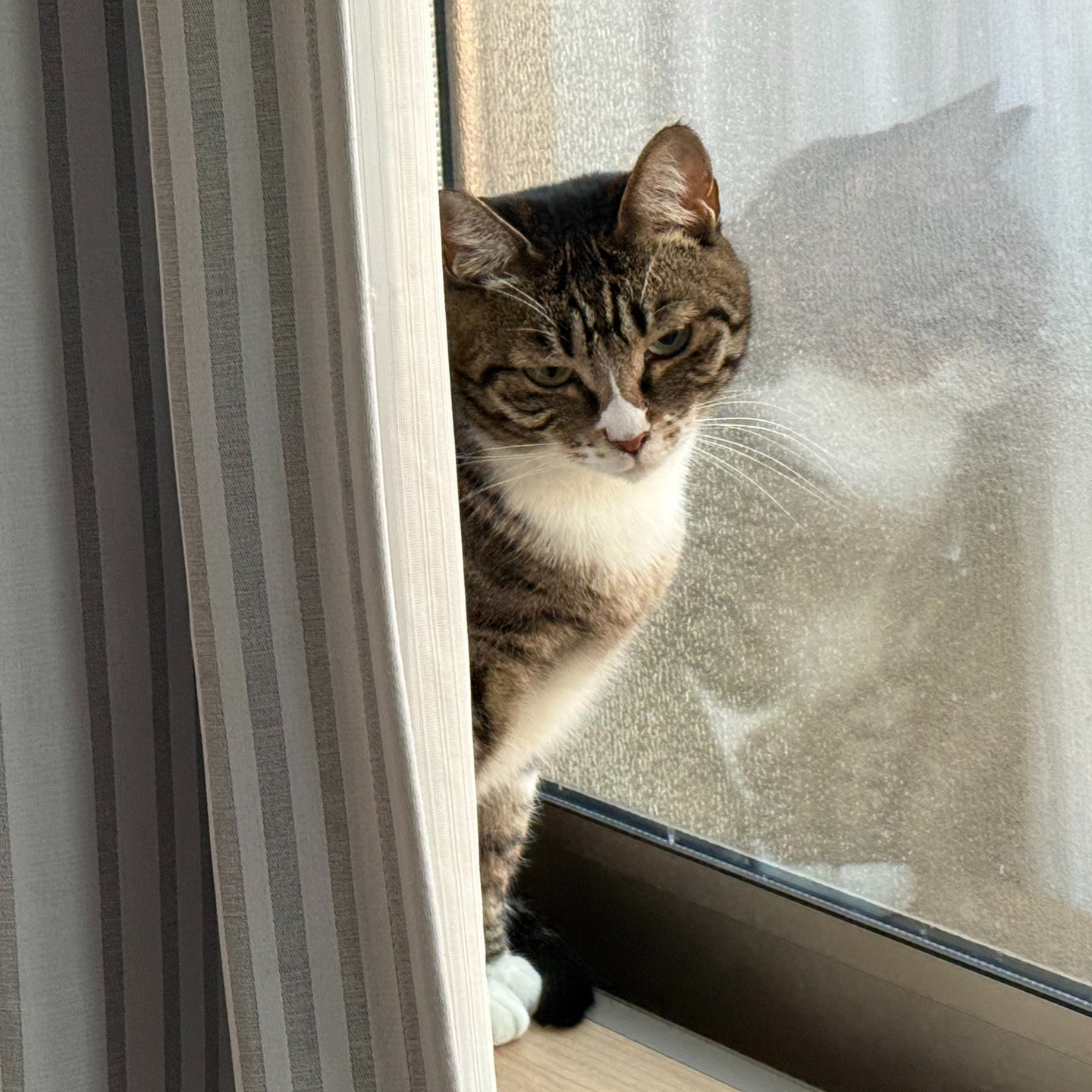 【年末年始のシッター報告🎍✨②】