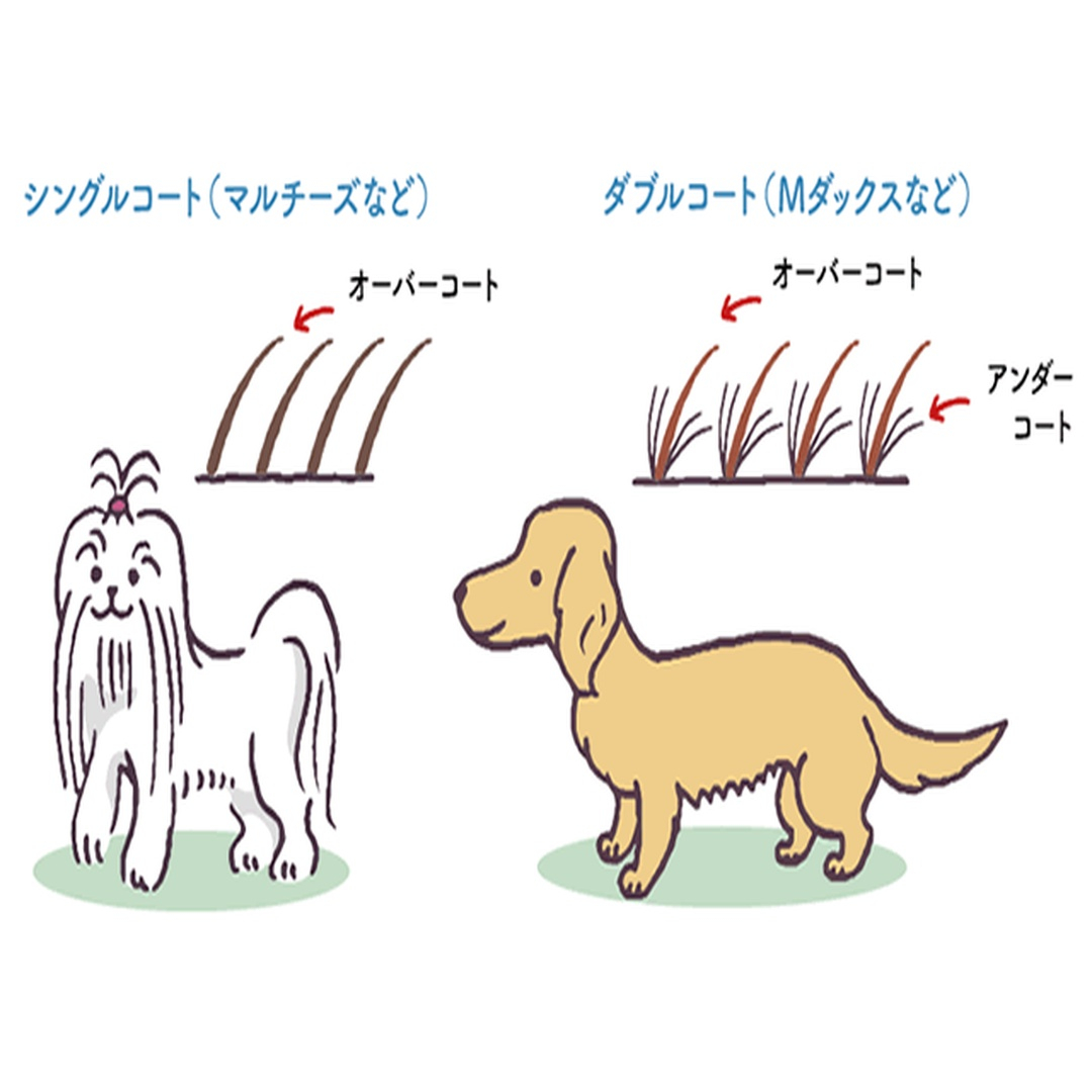 🐶🐱【季節の変わり目に増える“抜け毛”】