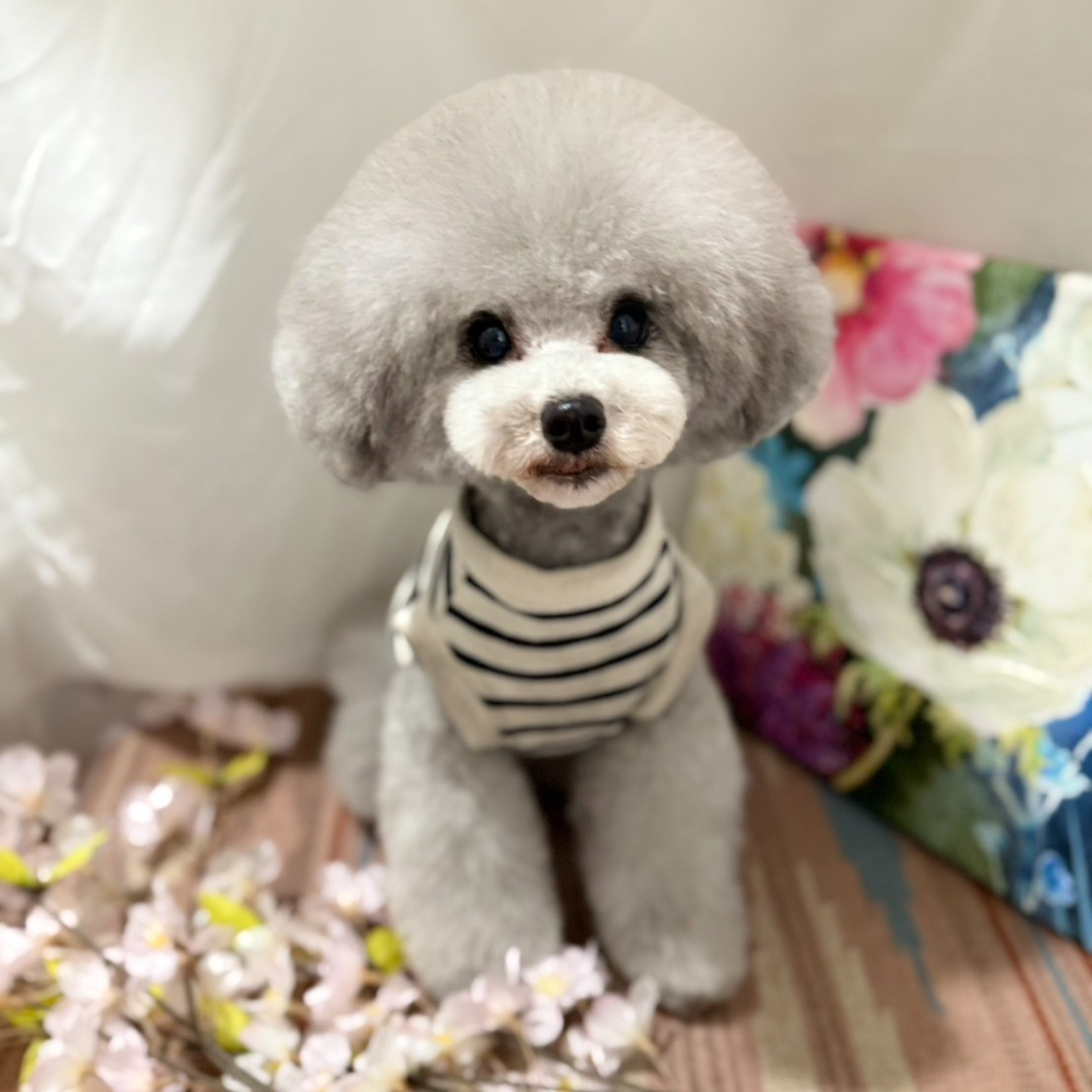 【シッターさん家のペット紹介🐾】