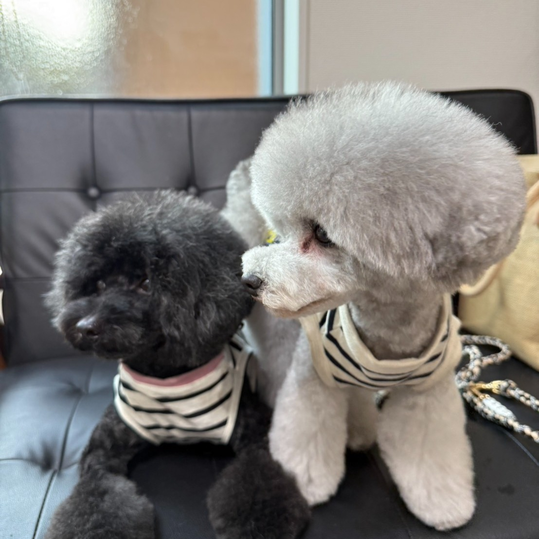 【シッターさん家のペット紹介🐾】