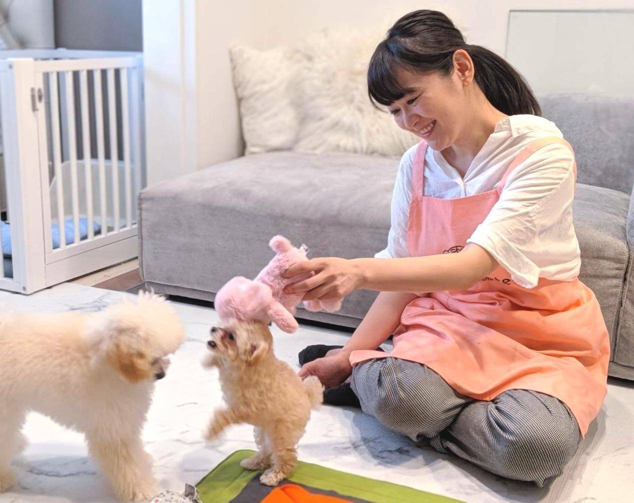 初めてのペットシッター選び安心の秘訣