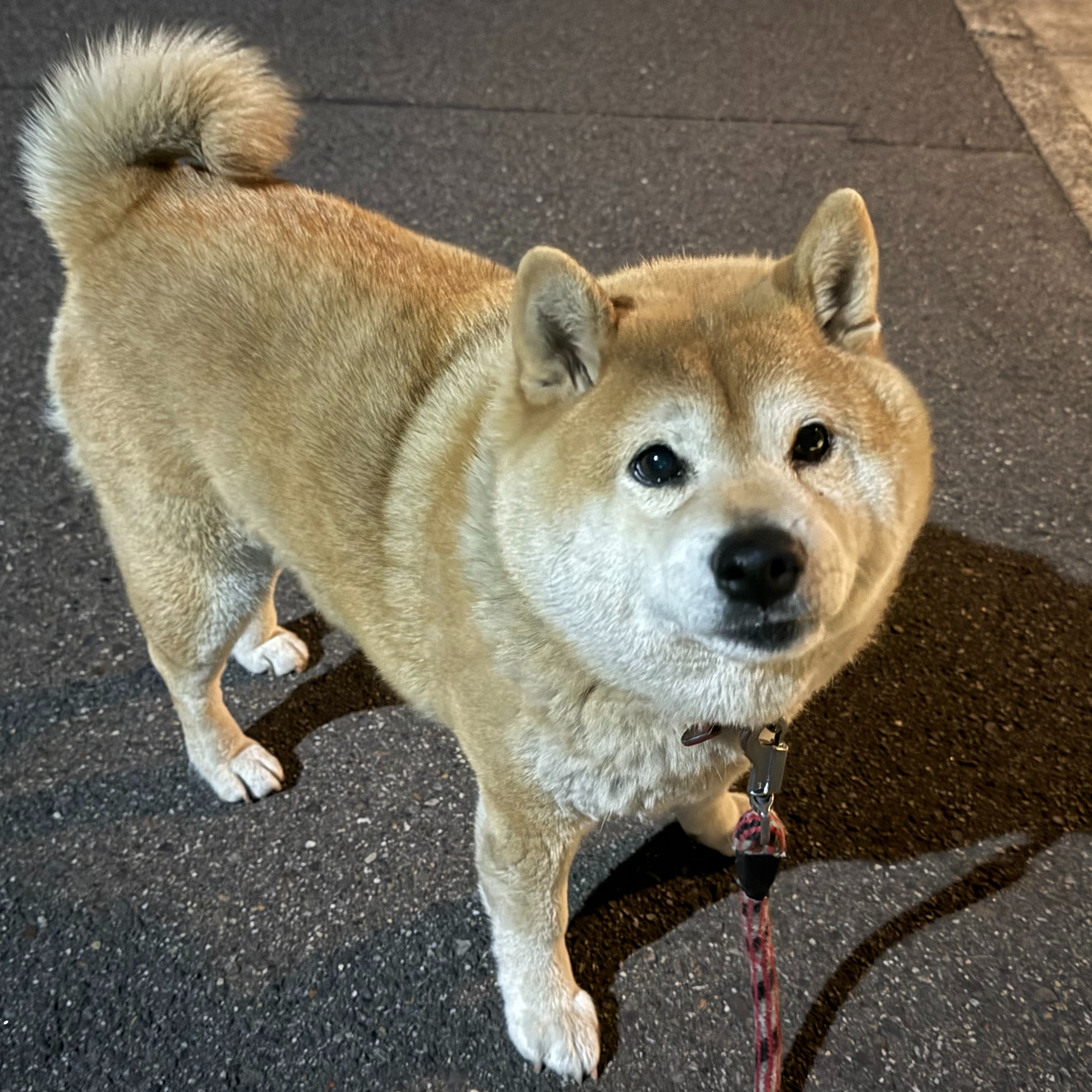 開業時の初めてのお客様🤗