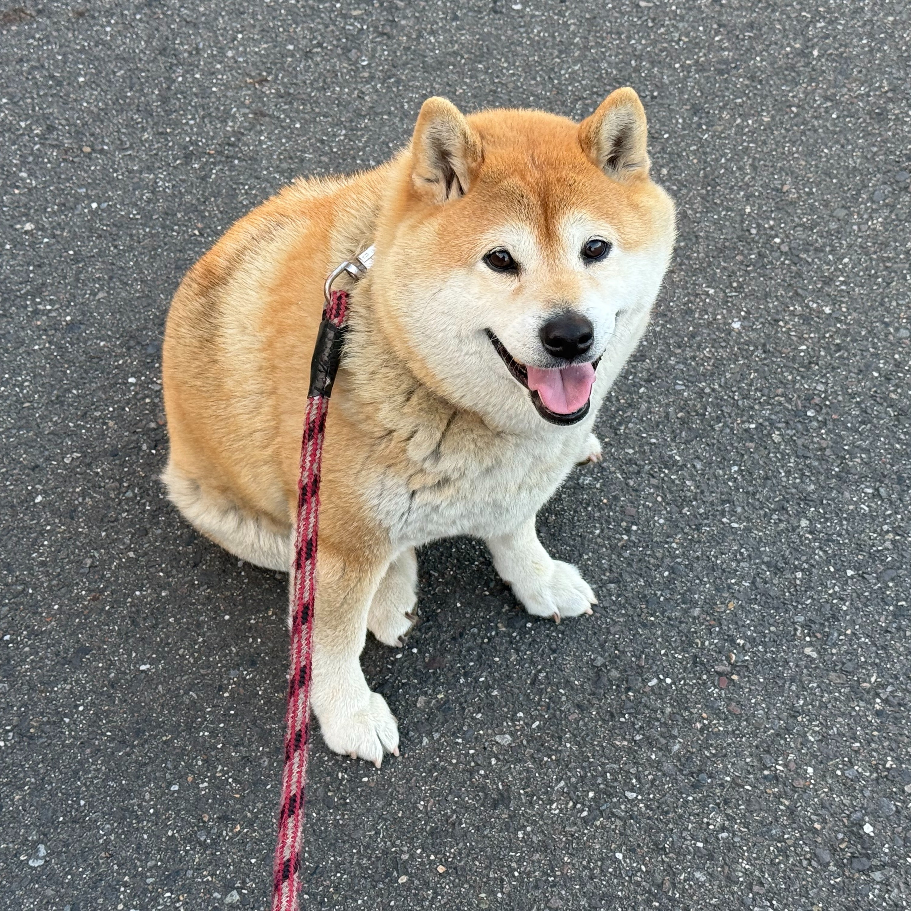 開業時の初めてのお客様🤗
