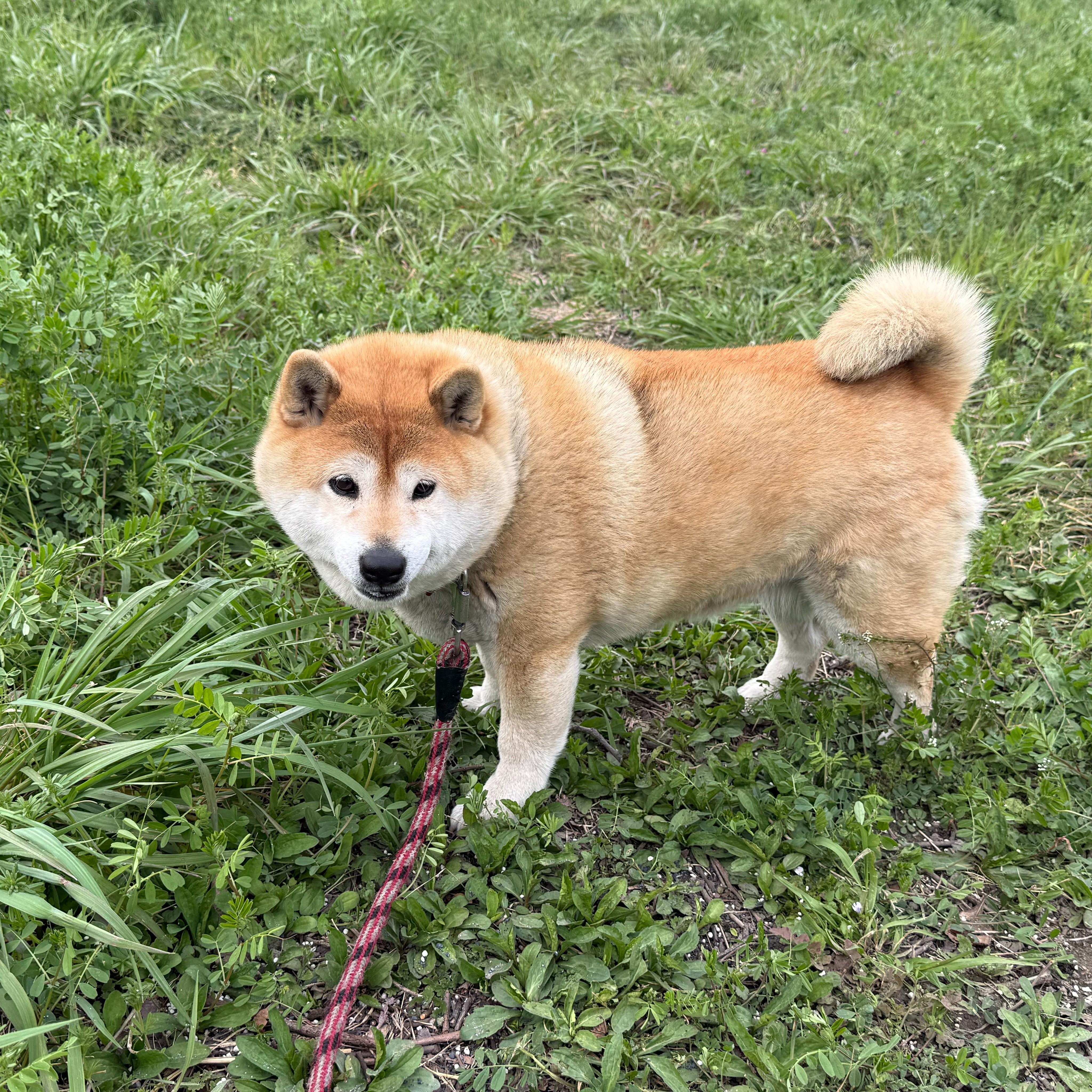 開業時の初めてのお客様🤗