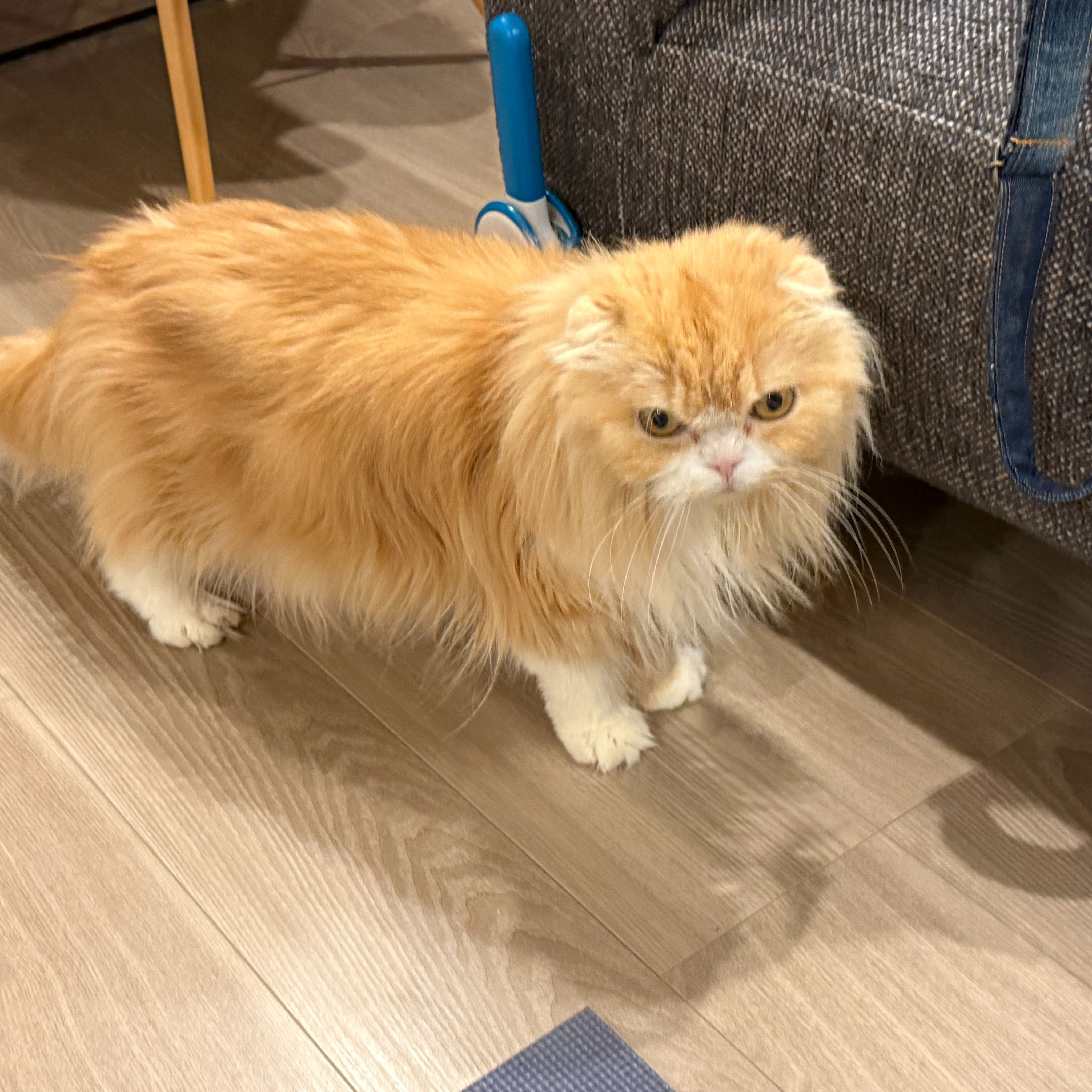 【シッター報告】