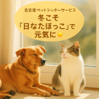 ペットシッターが教える日光浴の注意点