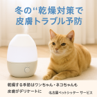 ペットシッターが教える猫の冬ケア
