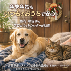 名古屋市の年末年始ペットシッター予約術