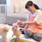 初めてのペットシッター選び安心の秘訣