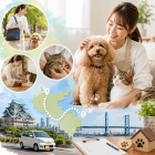 ペットシッター認定が示す安全の基準