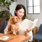 地域密着ペットシッターの役割と魅力