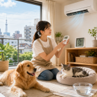 名古屋のペットシッター温度管理法