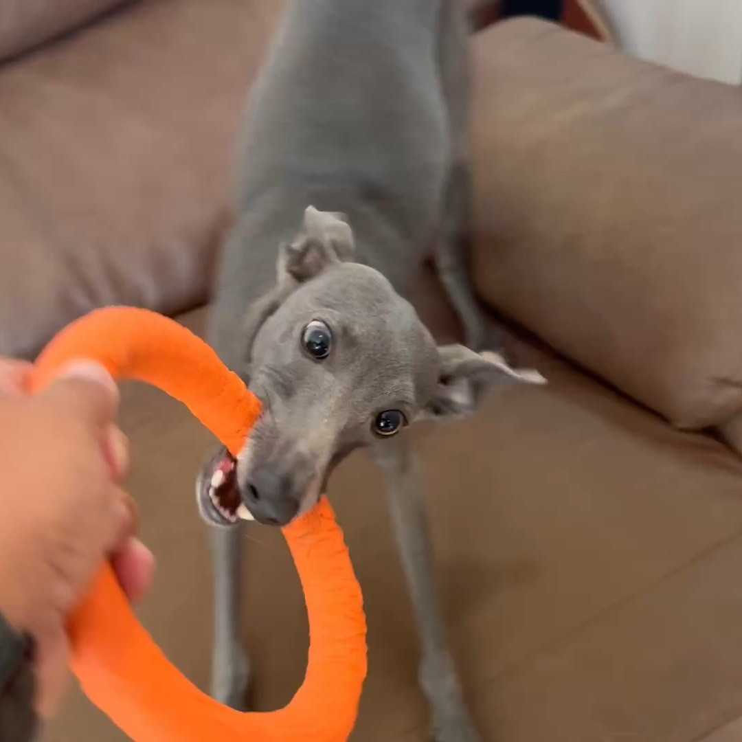 最近、寒さが本格化してきて、インフルエンザやコロナの心配が増...