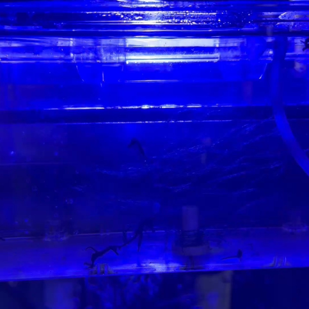 しばらく更新をサボっていました。