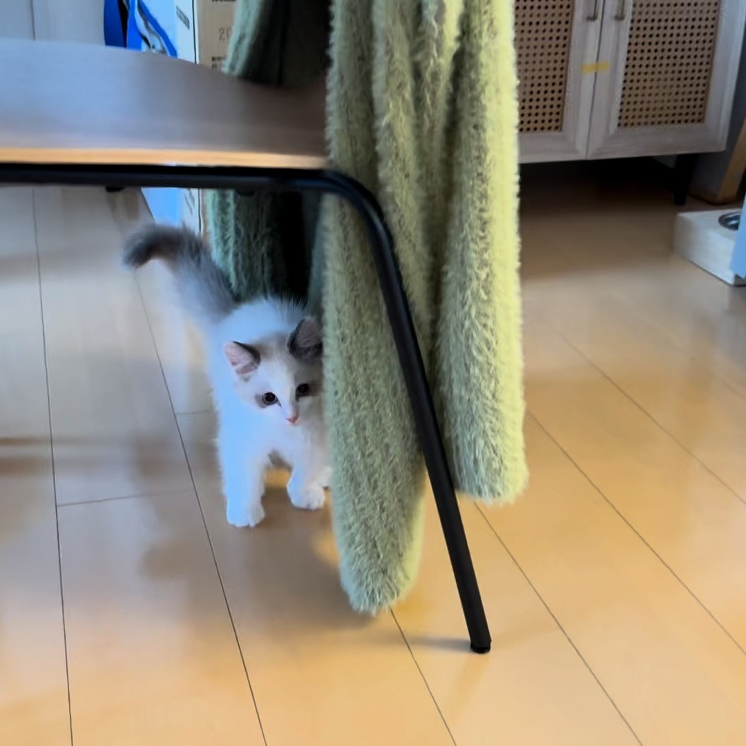 【シッター報告】